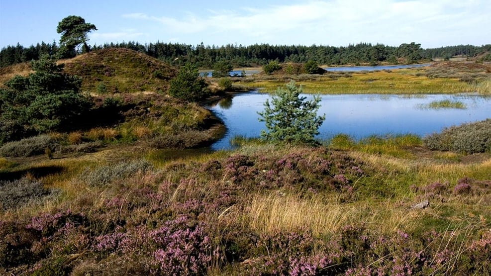 The Plantation Route - Panorama Route 1