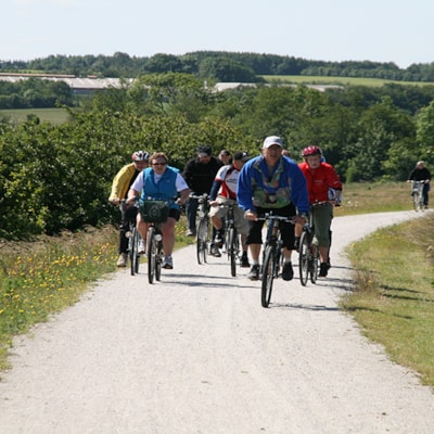 Fahrrad Route 29, Naturstien - 55km: Hvalpsund - Farsø - Aars - Nibe