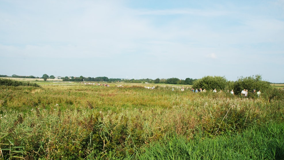 Trail of Vilsted Sø / Vilsted Lake