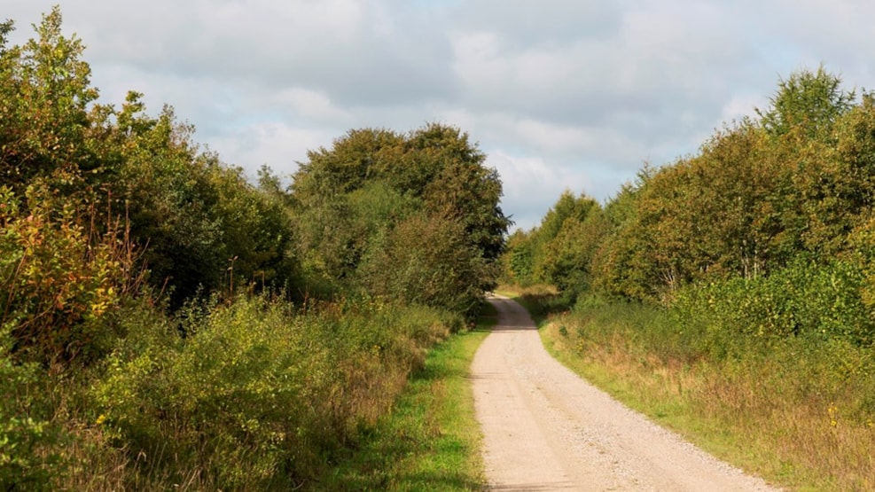 Hiking trail: Aars Forest