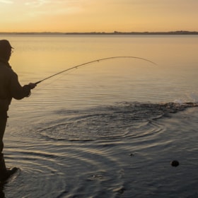 Fiskeri i Farsø og omegn