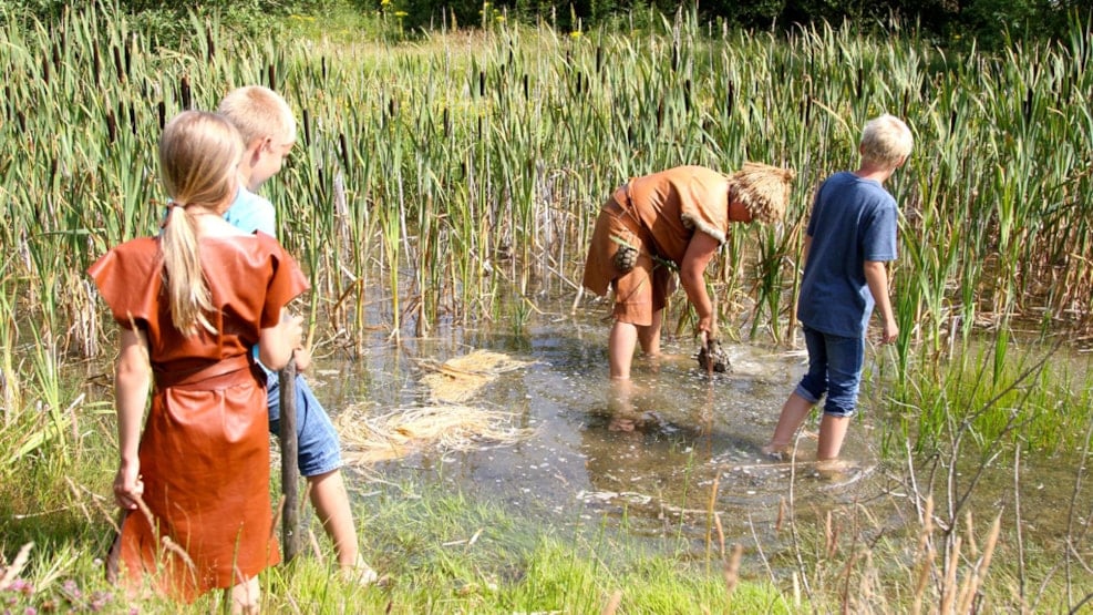 The Ertebølle Culture