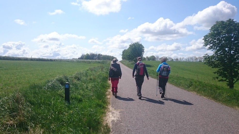 Hiking: Ancient Road from Løgstør - Møldrup