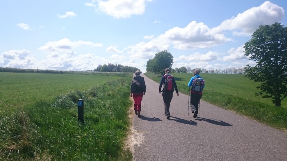 Hiking: Ancient Road from Løgstør - Møldrup