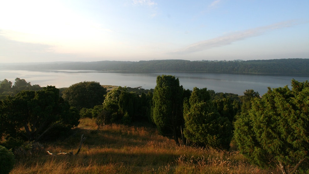 Fishingspot at Bramslev Bakker