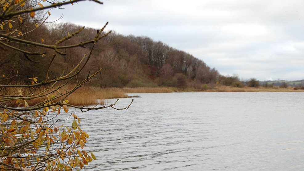 Strandholt Pynt Fishingspot