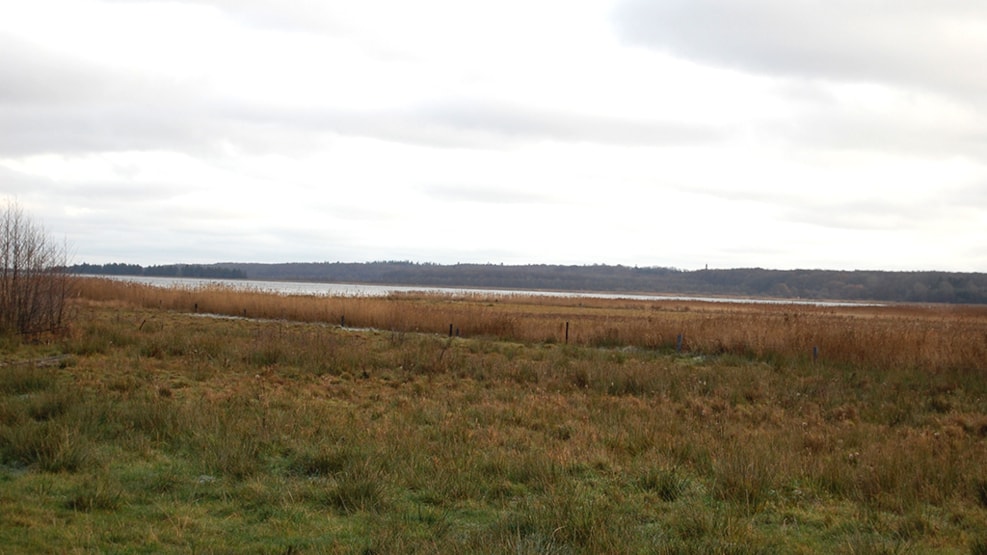 Fishingspot at Revsbæk