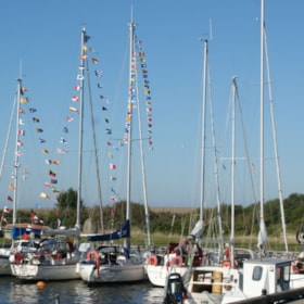 Livø Yachthafen