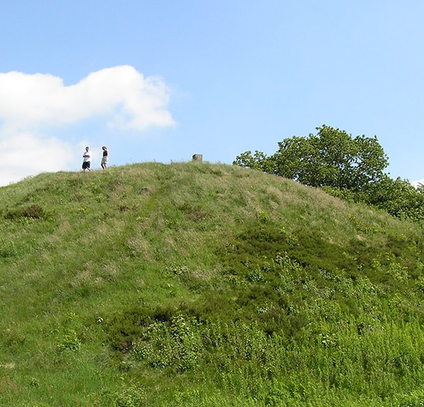 The Hohøj burial mound