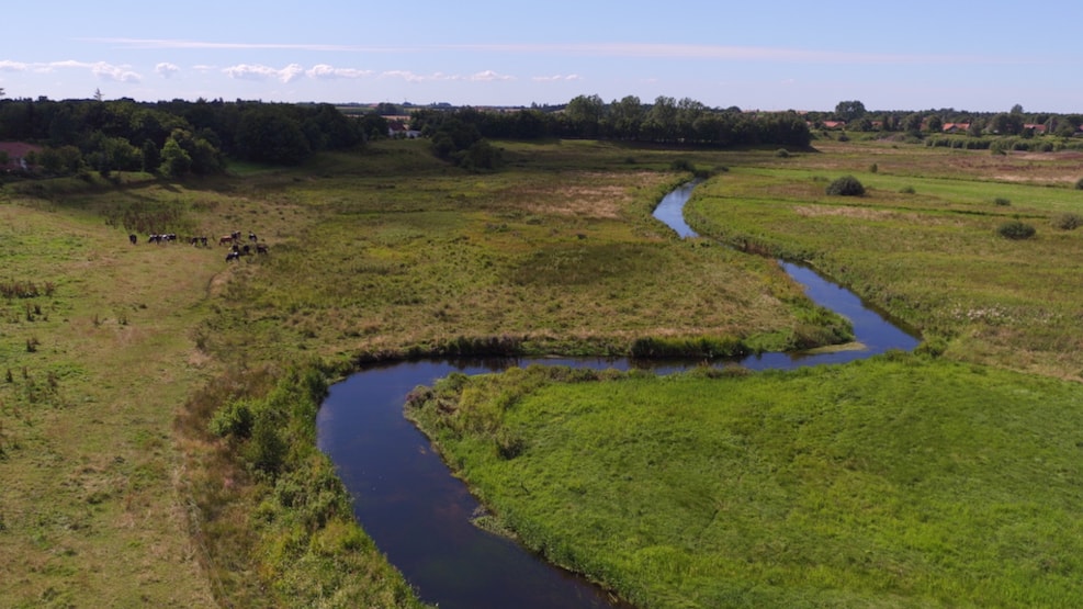 Simested Creek