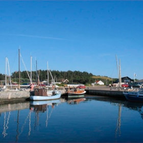 Rønbjerg Yachting Harbour 