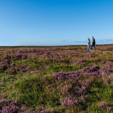 Hiking in The Moors of Himmerland