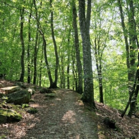 Mariager Round - Hiking Route (11 km)