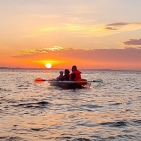 Udlejning af gennemsigtige kajakker og SUP-boards, Hvalpsund Familie Camping