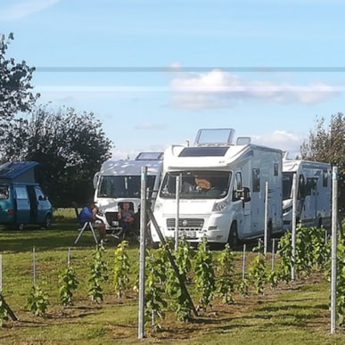 Wohnmobilplatz am OddeKystVineri in Als