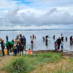 Naturbasen Limfjorden hos Hvalpsund Familie Camping