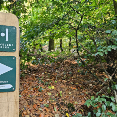 Robbers Route - Rold Skov (5,1km)