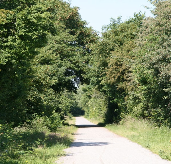The Trail of Himmerland - 79 km: Løgstør - Løgstrup - Viborg