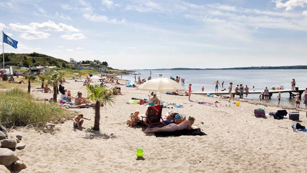 Strand mit Blaue Flagge Hvalpsund