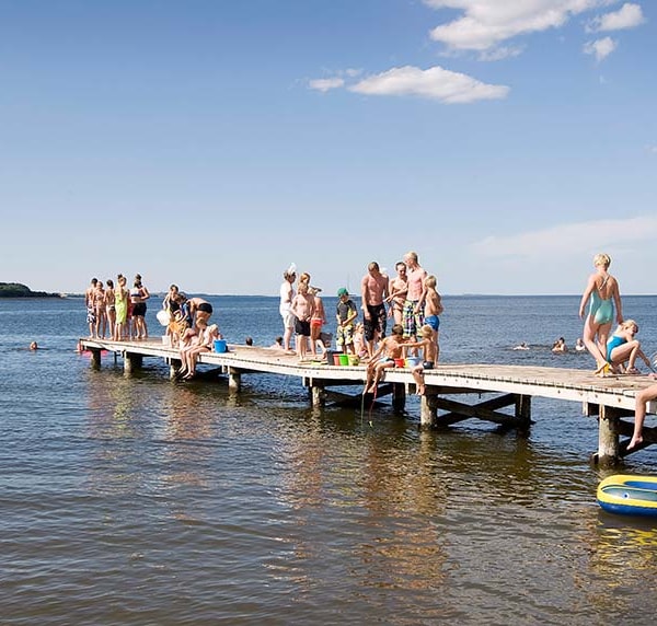 Naturbasen Limfjorden