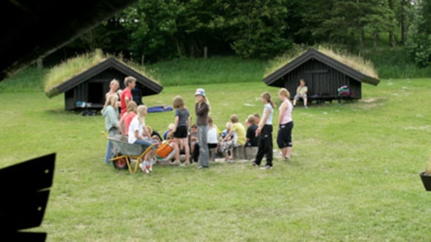 Shelter & Lejrplads ved Boldrup Museum