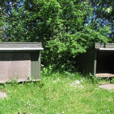 Bælum Wald-Zeltplads und shelters