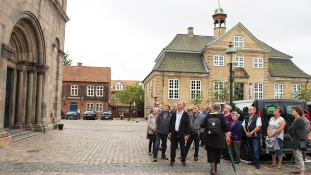 Guided tours in Viborg