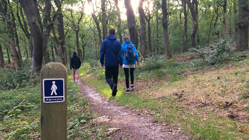 Hiking along the Historic Trail, Hærvejen (14 km)