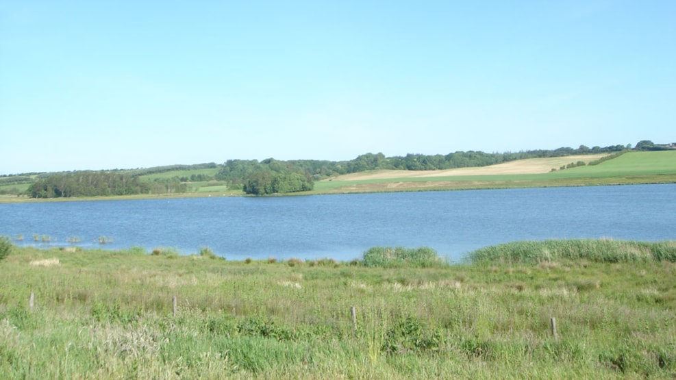 Rødding Lake (Rødding Sø)