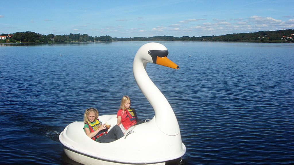 Water Bike Rental