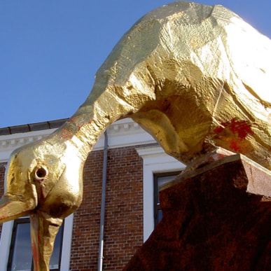 Die goldene Gans in Nibe