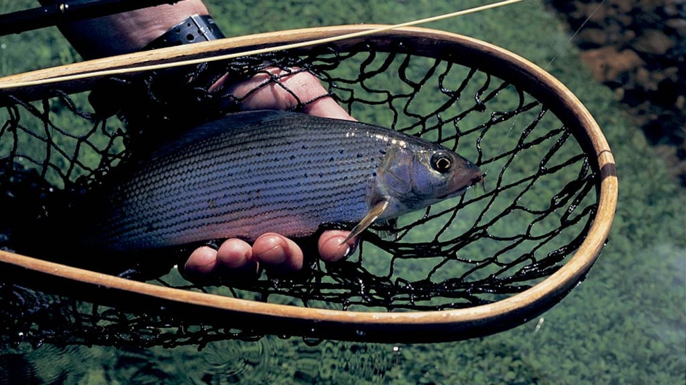 St. Restrup Fishing lake