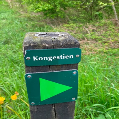 Wandern: Kongestien - 8 km