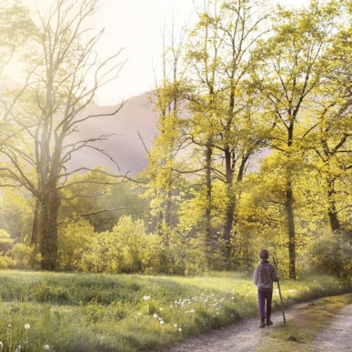 Vandreruter i Nordjylland