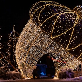Christmas in the Zoo
