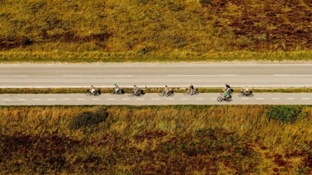 Biking: The route of Birds of prey - 41 km 