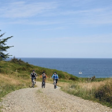 Biking: Østkystruten - 96 km