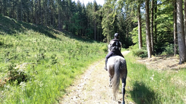Rideture: Dronninglund Storskov