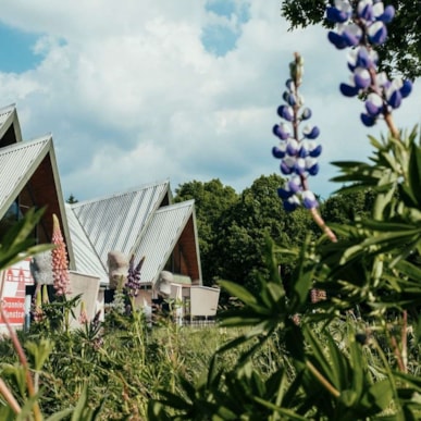 Dronninglund Kunstcenter