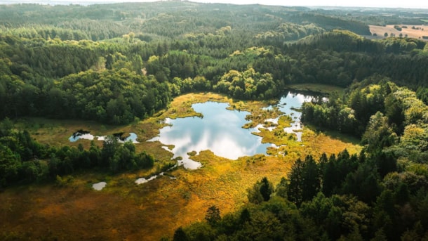 Jyske Ås (the Jutlandic Ridge)