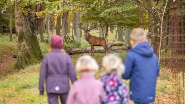 Bangsbo Dyrepark