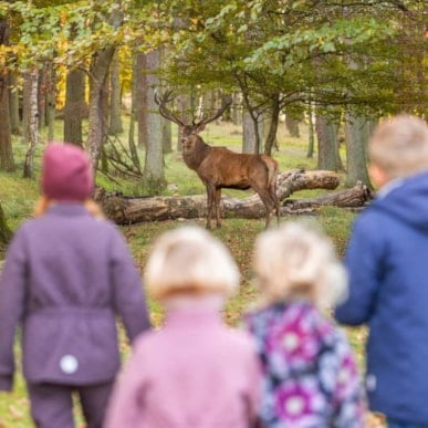 Bangsbo Dyrepark