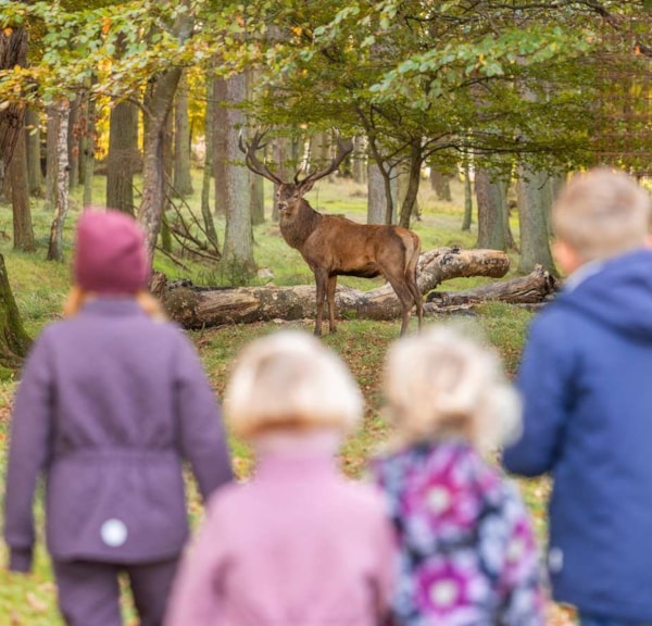 Bangsbo Dyrepark