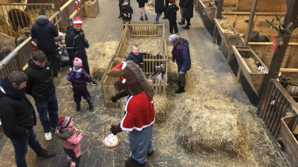 Juleaften på Farm Fun