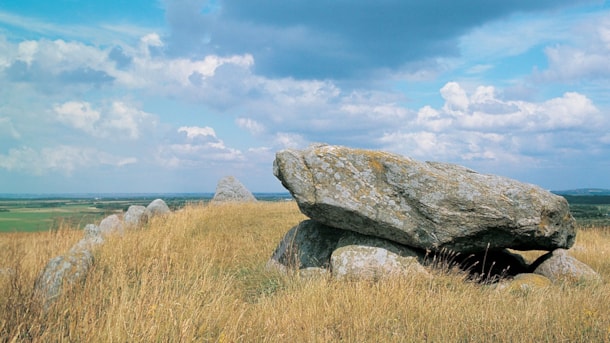 The Neolithic Stone - Troldkirken