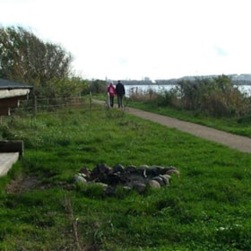 Lindholm Fjordpark - shelter