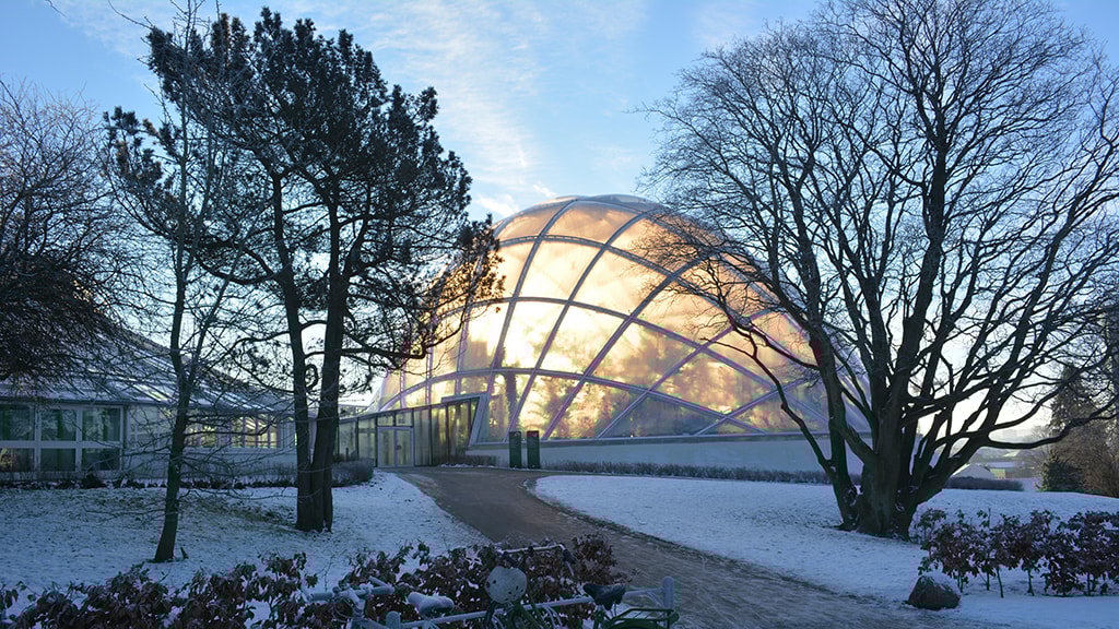 Gewächshäuser im Botanischen Garten VisitAarhus