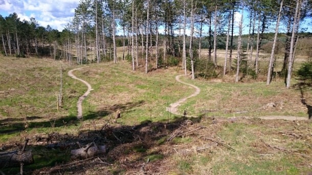 På mountainbike i Sdr. Plantage - Ebeltoft