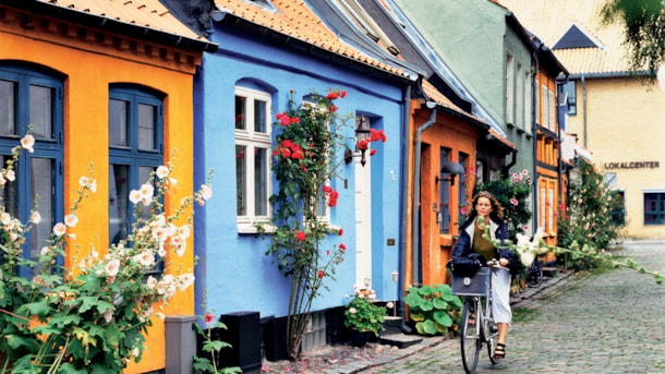 A Charming House in Downtown Aarhus