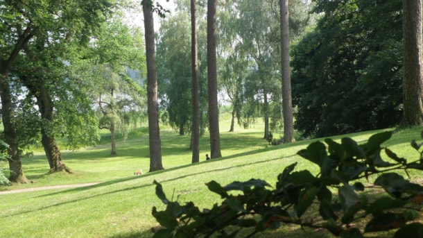 Dyrehaven Deer Park in Skanderborg
